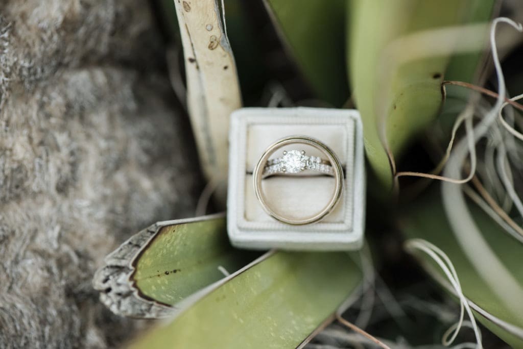 Close up of wedding rings