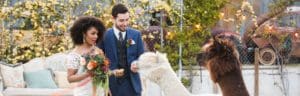 Sustainable Green Wedding at the Doyle in Las Vegas.