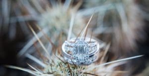 Beautiful Diamond Ring in a Cactus